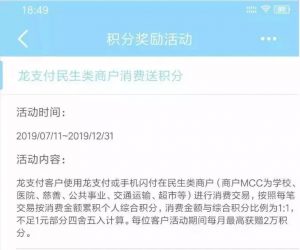 龙支付民生类商户消费