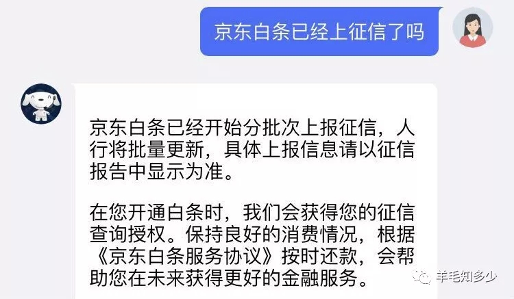 京东白条相关回答